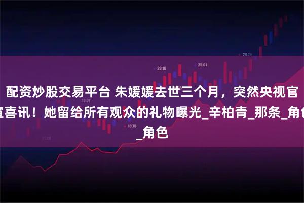 配资炒股交易平台 朱媛媛去世三个月，突然央视官宣喜讯！她留给所有观众的礼物曝光_辛柏青_那条_角色