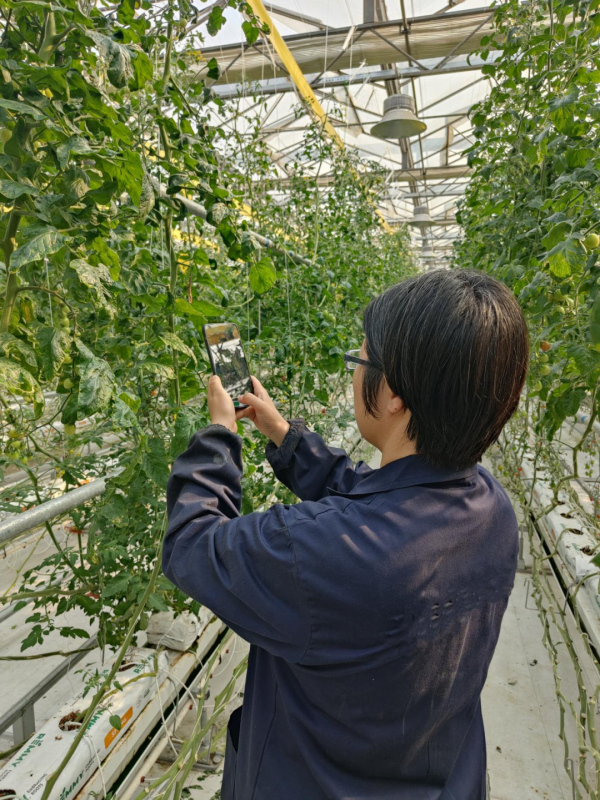 网上炒股 北京智慧植保系统亮相联合国粮农组织