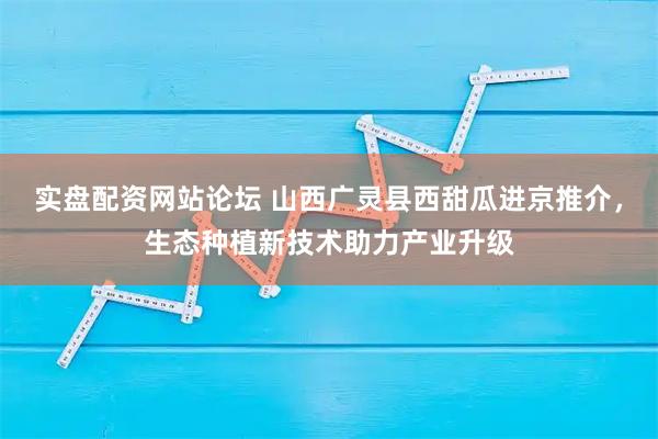 实盘配资网站论坛 山西广灵县西甜瓜进京推介,生态种植新技术助力产业升级